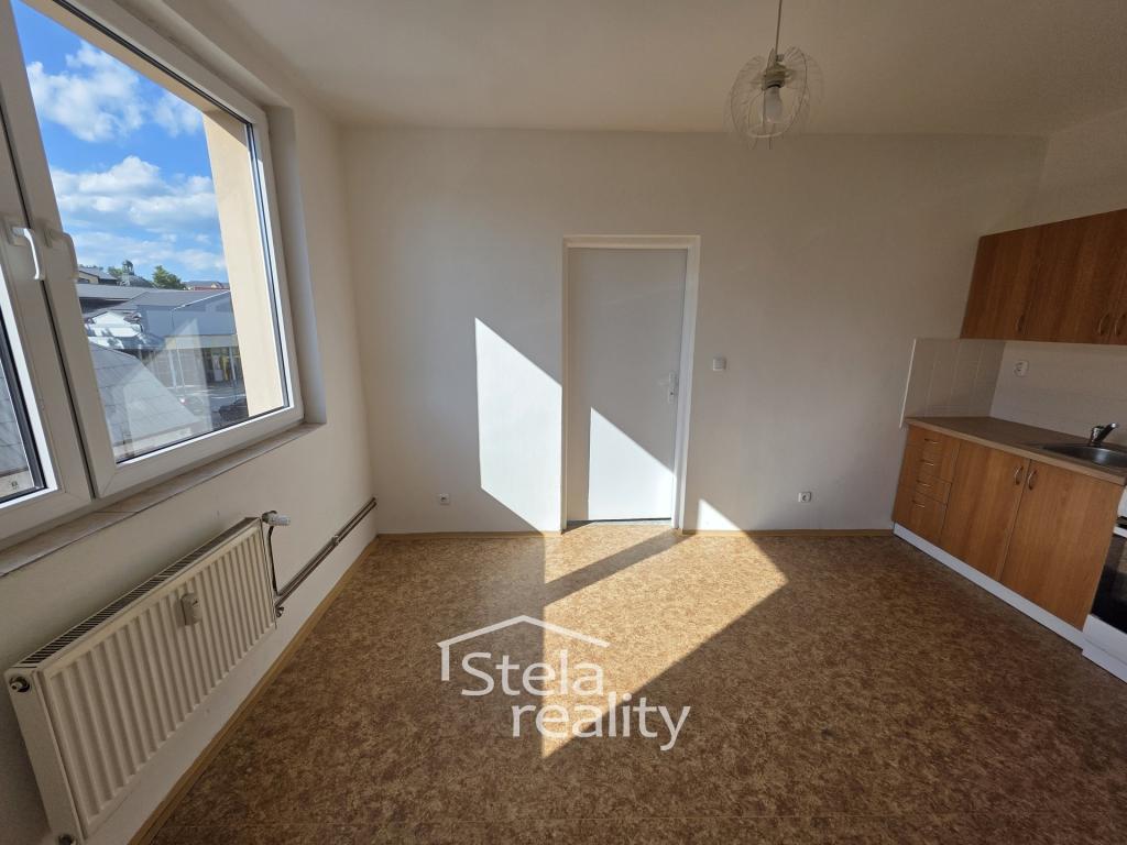 Pronájem bytu 1+1 44 m2