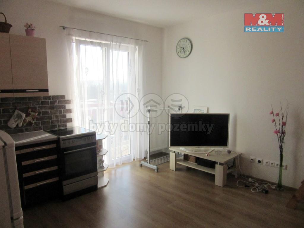 Pronajem bytu 1+kk 32 m2