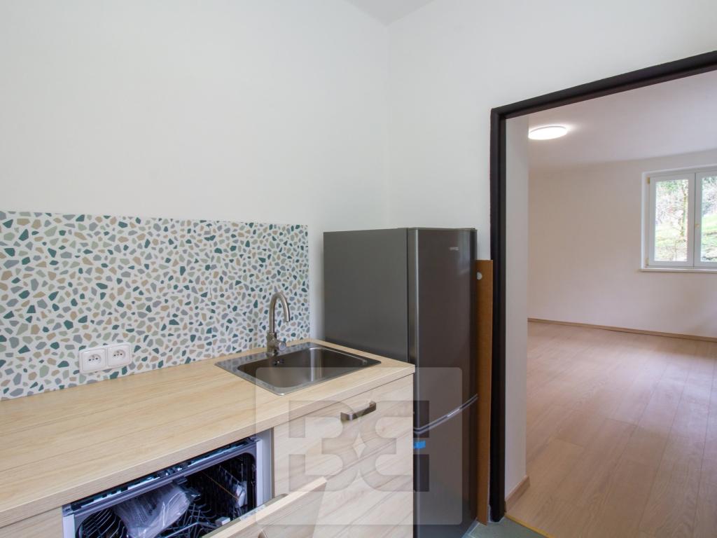 Pronájem bytu 1+1 34 m2
