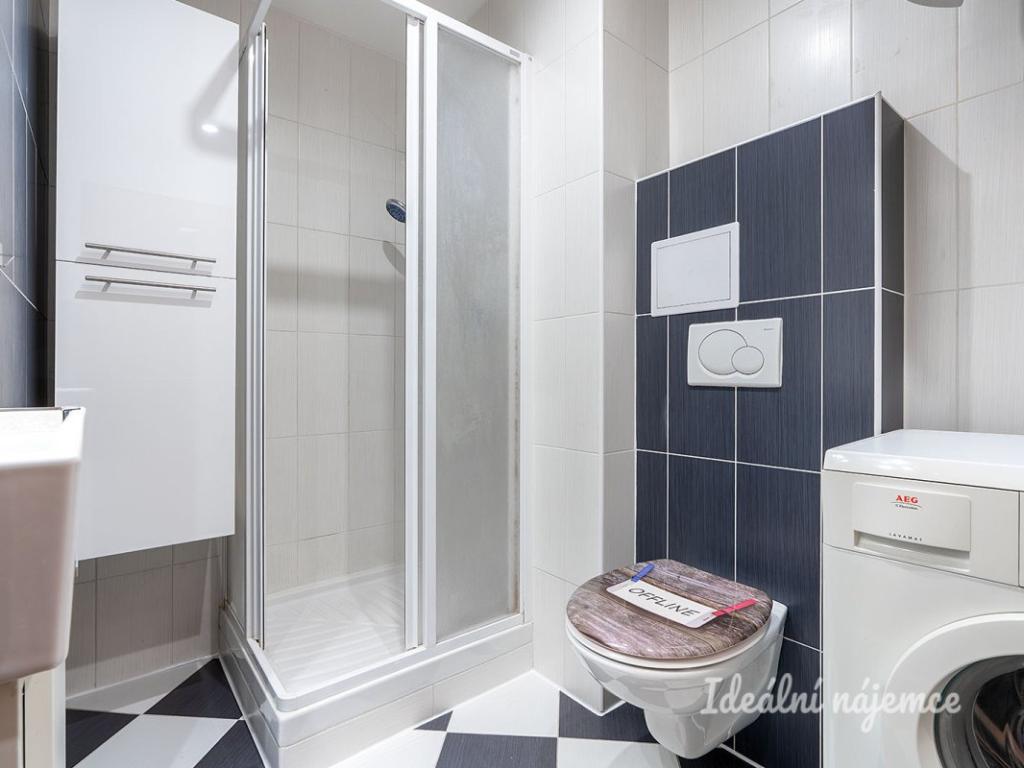 Pronájem bytu 1+1 43 m2