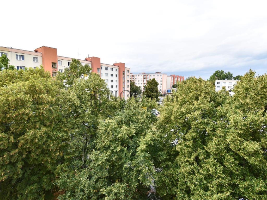 Pronájem bytu 2+1 55 m2, Praha – náhled fotky 18