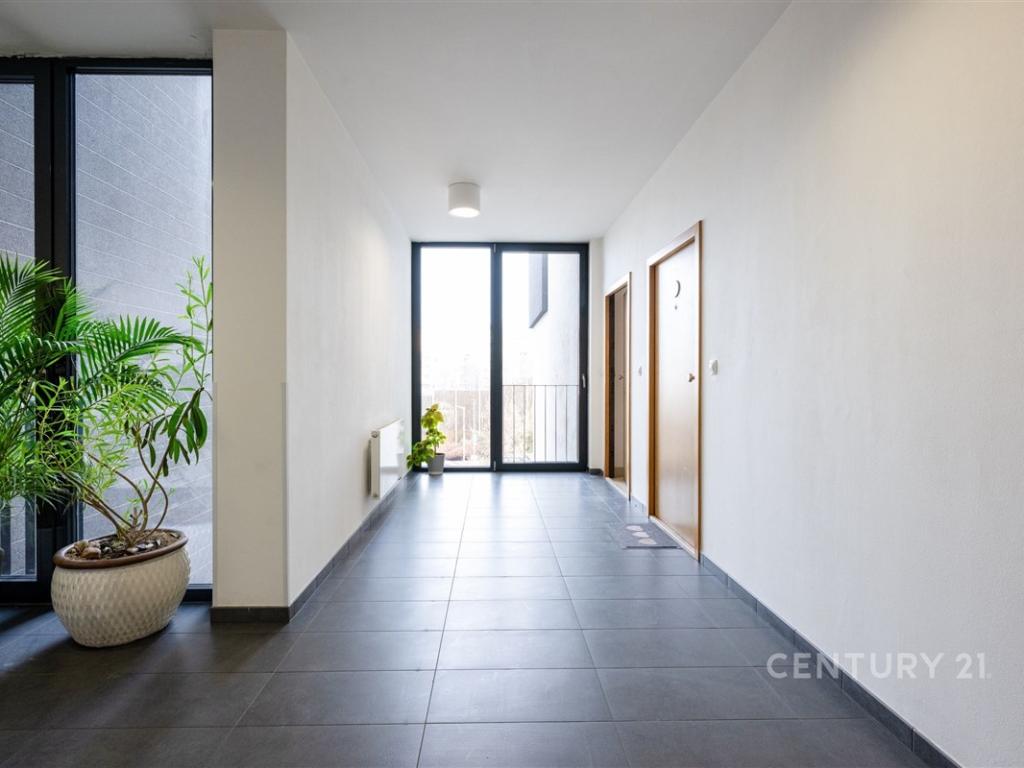 Pronájem bytu 2+kk 61 m2