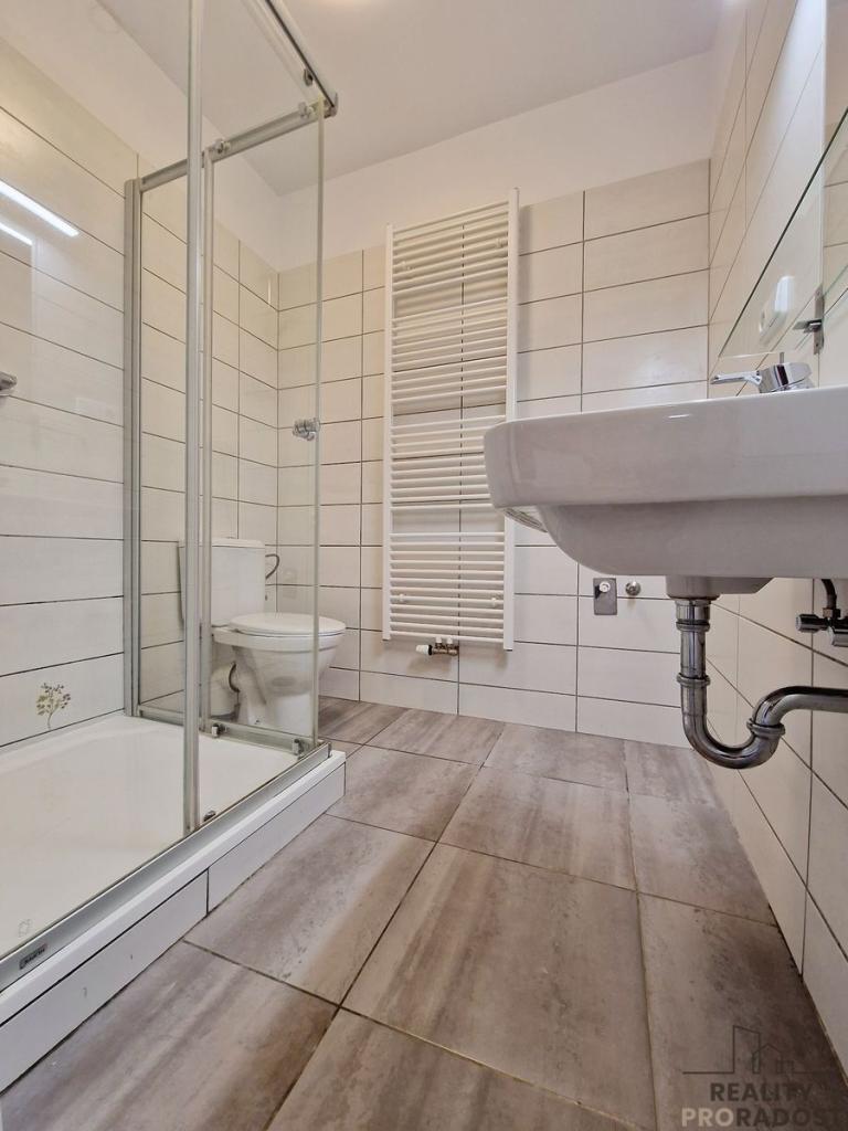 Pronájem bytu 2+1 55 m2