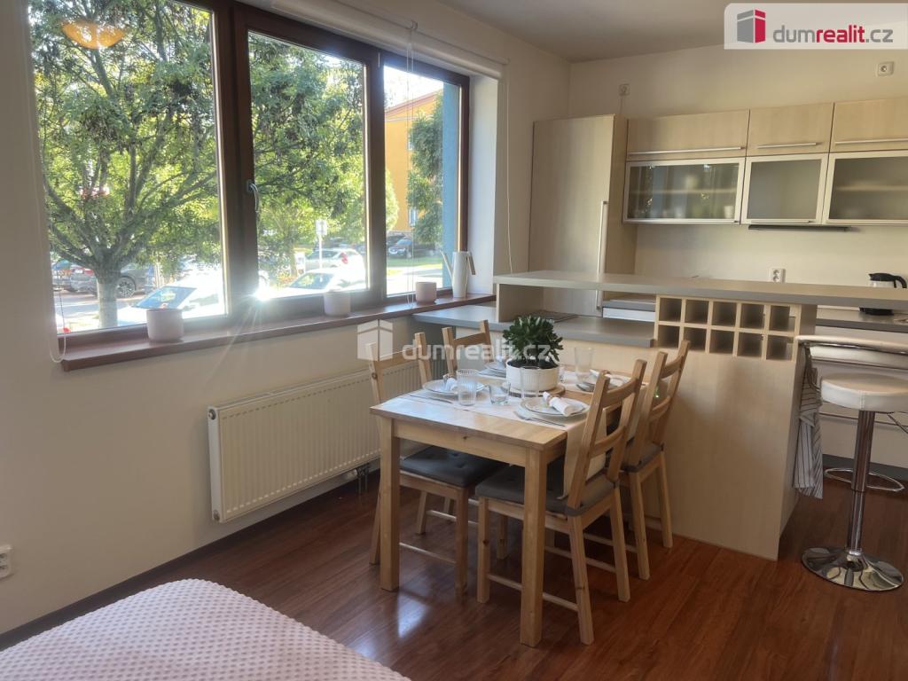 Pronájem bytu 1+kk 48 m2