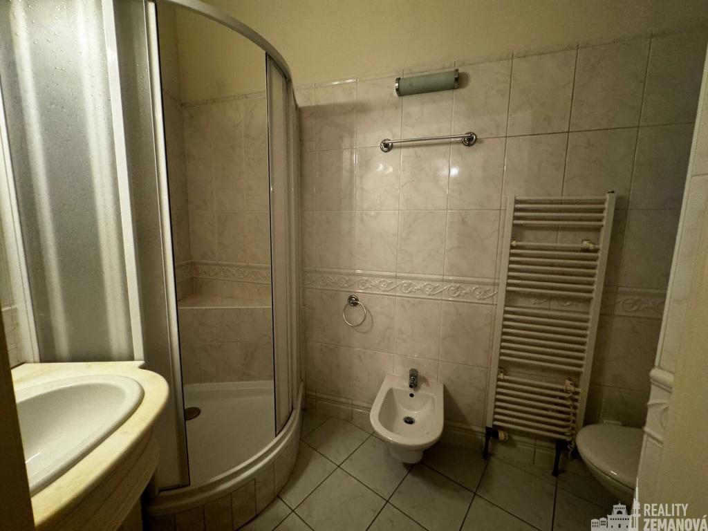 Pronájem bytu 4+kk 122 m2