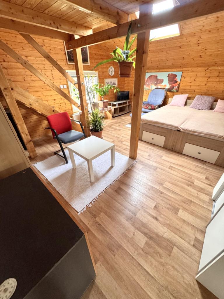 Pronájem bytu 1+1 46 m2