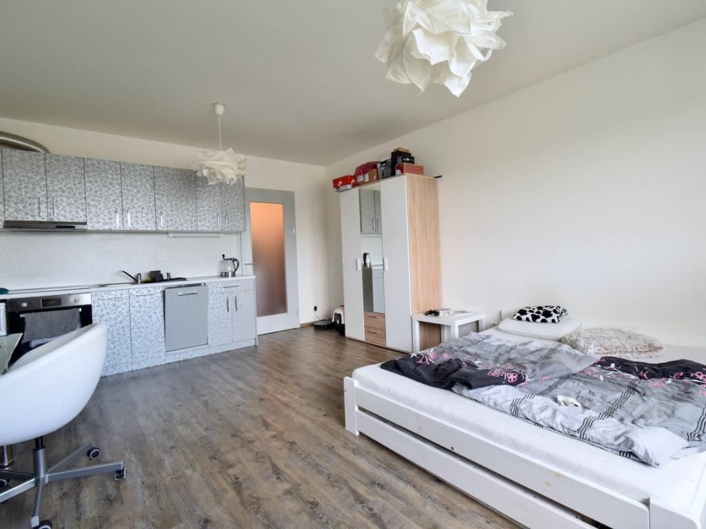Pronájem bytu 1+kk 30 m2
