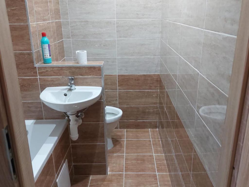 Prodej bytu 1+1 36 m2, Jirkov – náhled fotky 9
