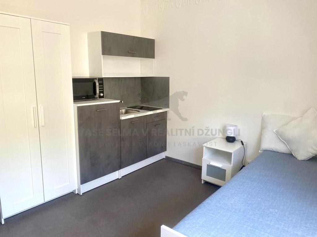 Pronájem bytu 1+kk 20 m2