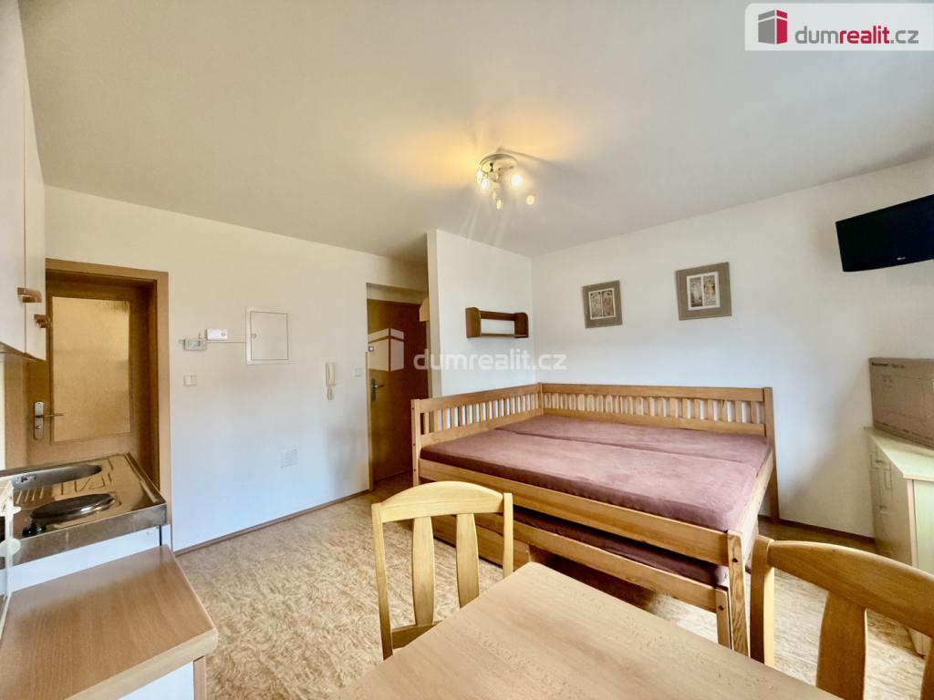 Pronájem bytu 1+kk 25 m2