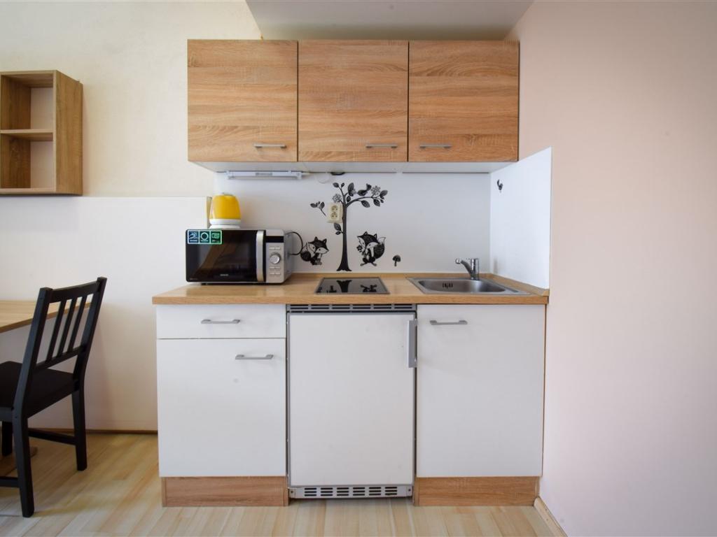 Pronájem bytu 1+kk 20 m2