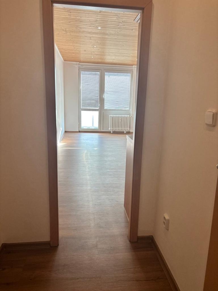 Pronájem bytu 1+kk 30 m2