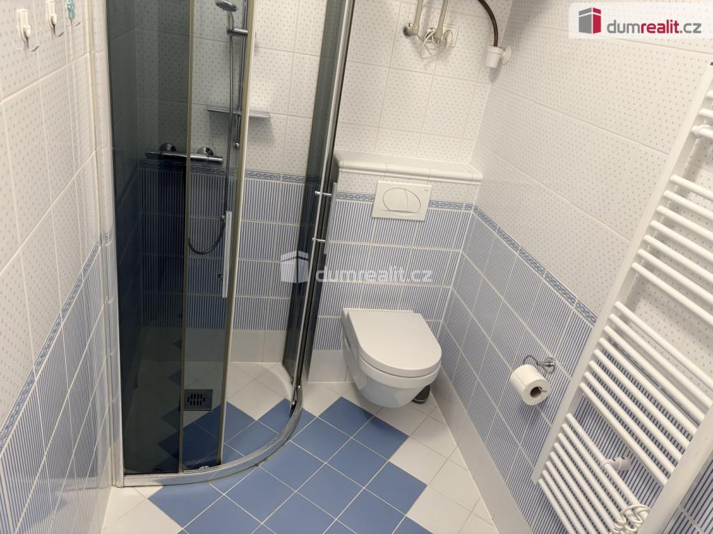 Pronájem bytu 1+kk 26 m2
