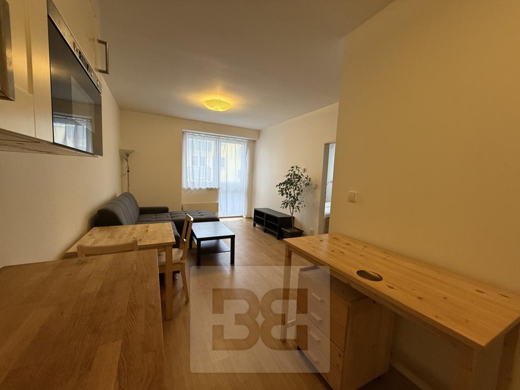 Pronájem bytu 2+kk 39 m² - Widok 2