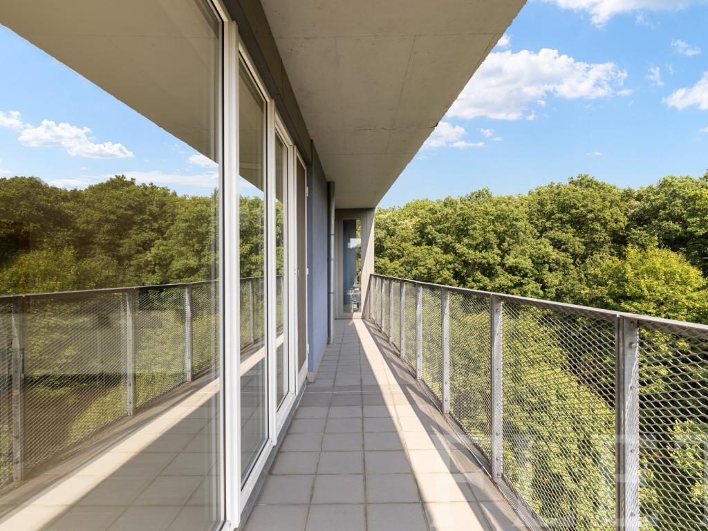 Pronájem bytu 3+kk 109 m2
