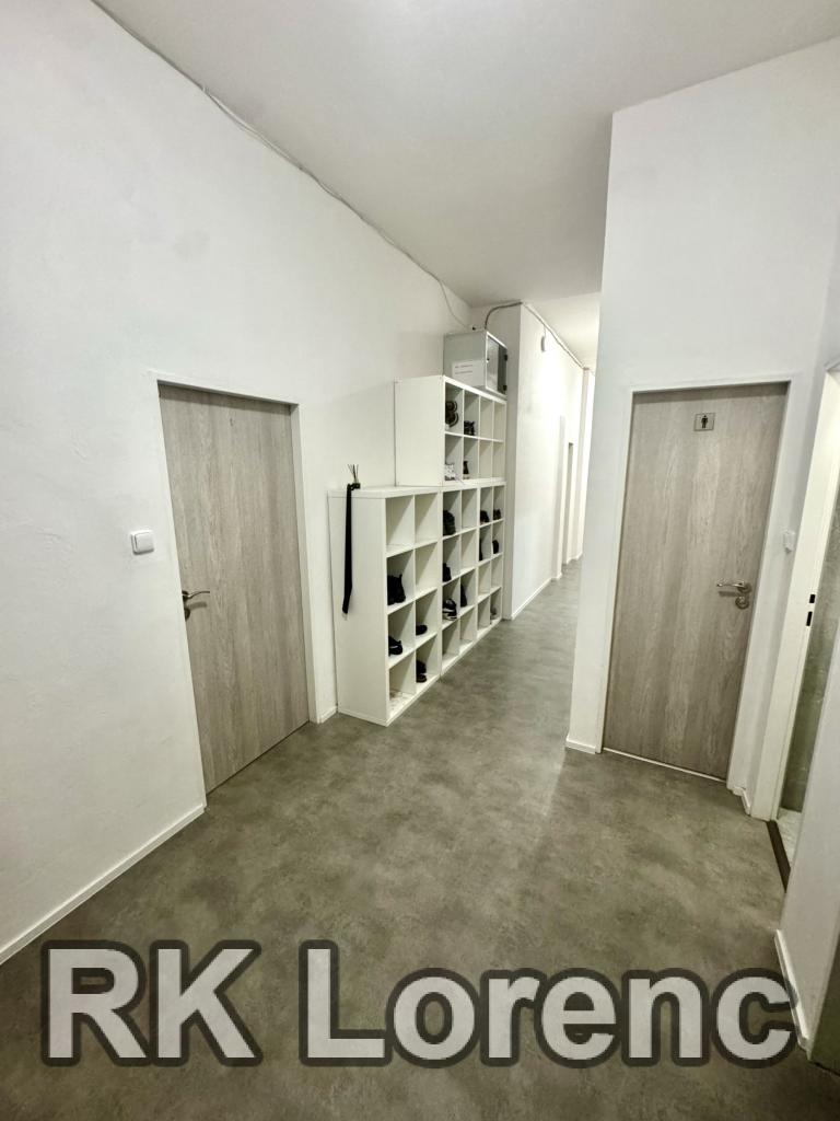 Pronájem bytu 6 a více 150 m2