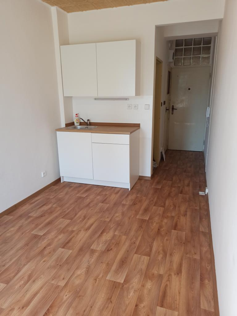 Pronajem bytu 1+kk 15 m2