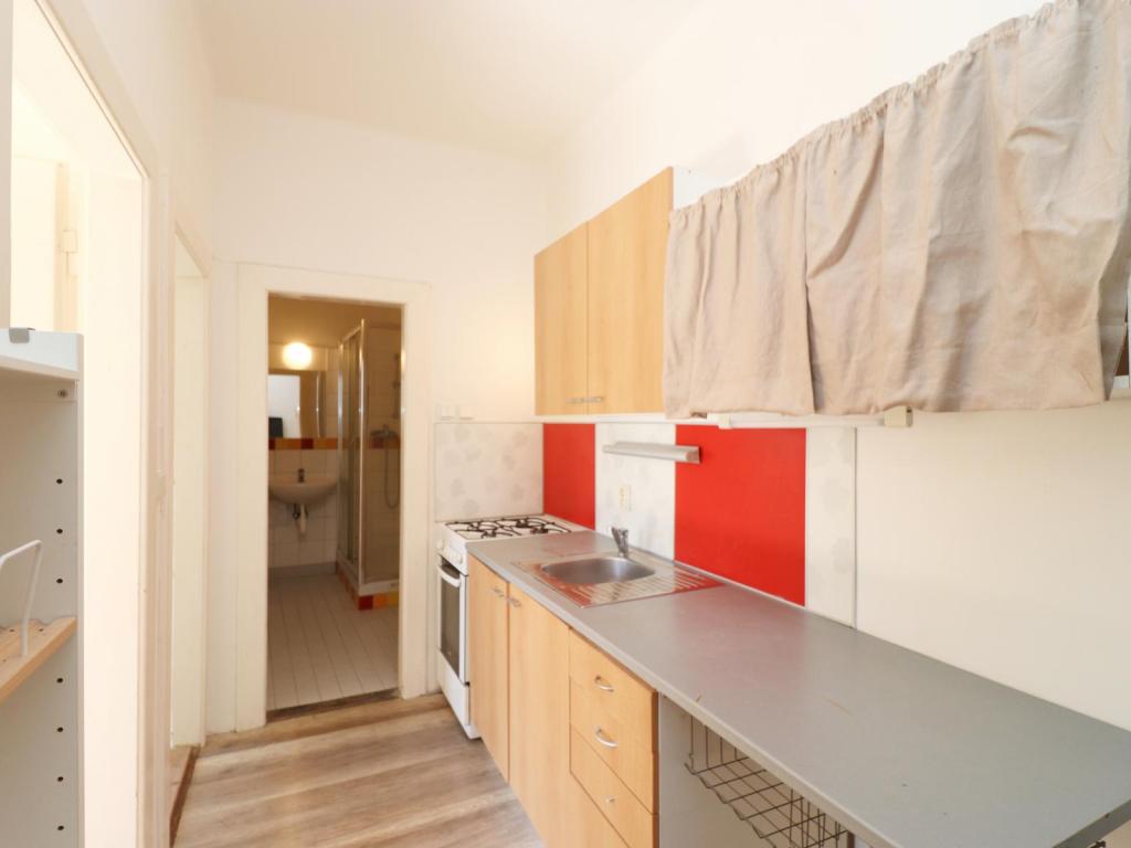 Pronájem bytu 2+1 45 m2