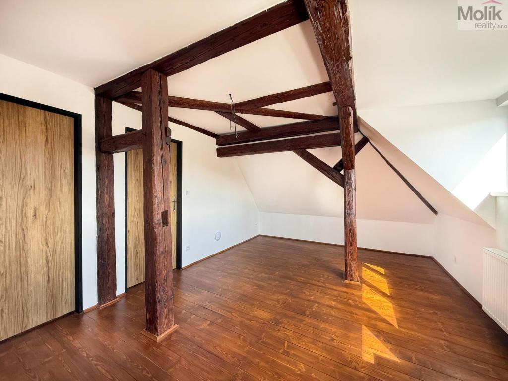 Pronájem bytu 3+kk 54 m2