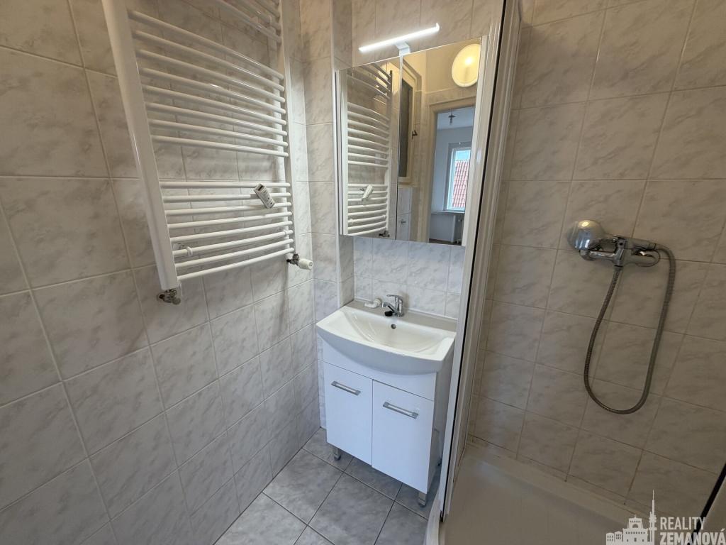 Pronájem bytu 2+1 50 m2