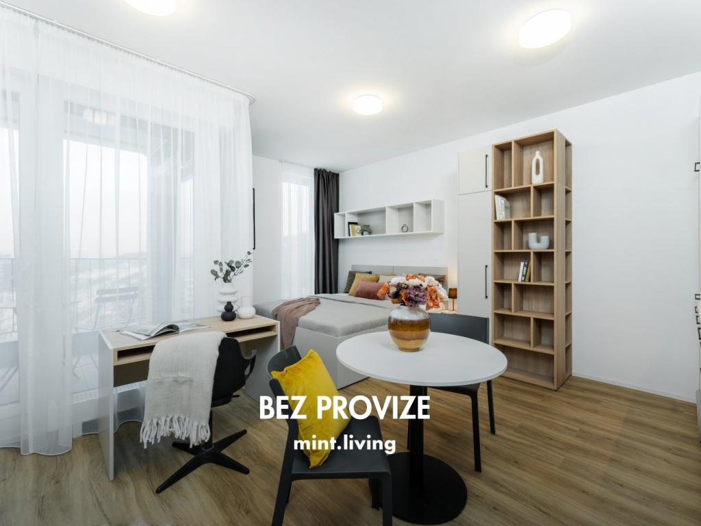 Pronájem bytu 1+kk 30 m2