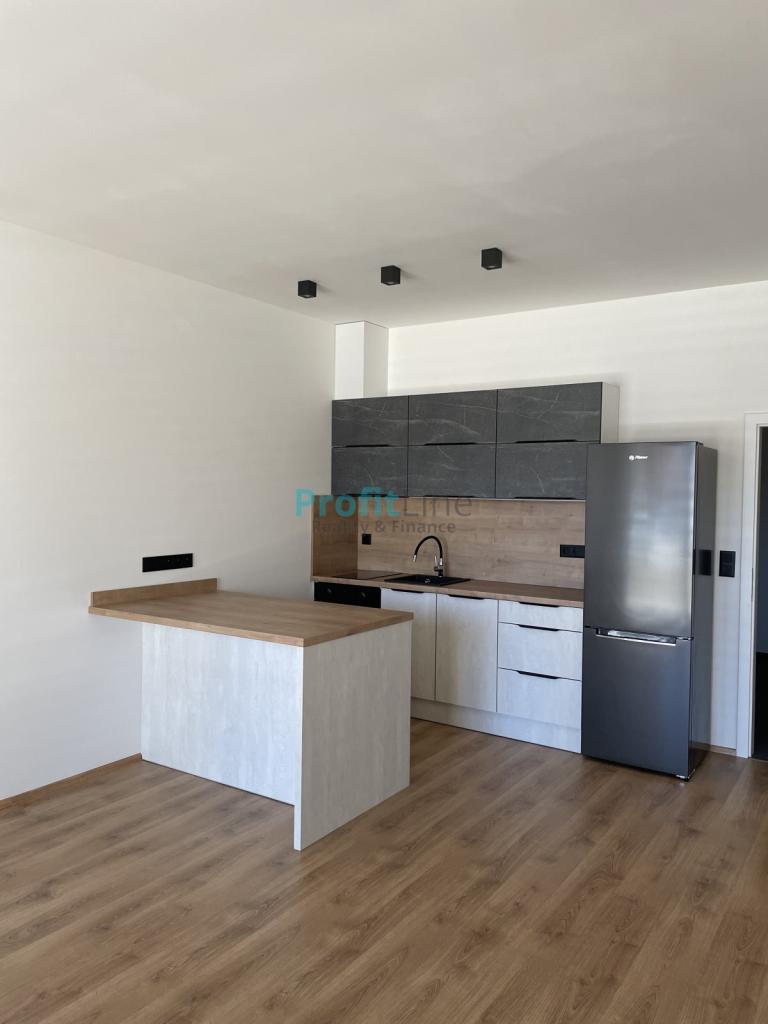 Pronájem bytu 1+kk 50 m2