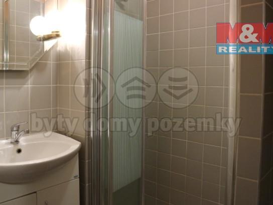 Pronajem bytu 2+1 56 m2