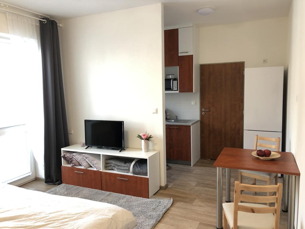 Pronajem bytu 1+kk 30 m2