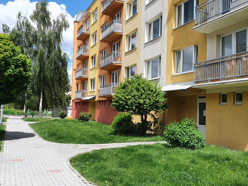 Pronajem bytu 2+1 58 m2