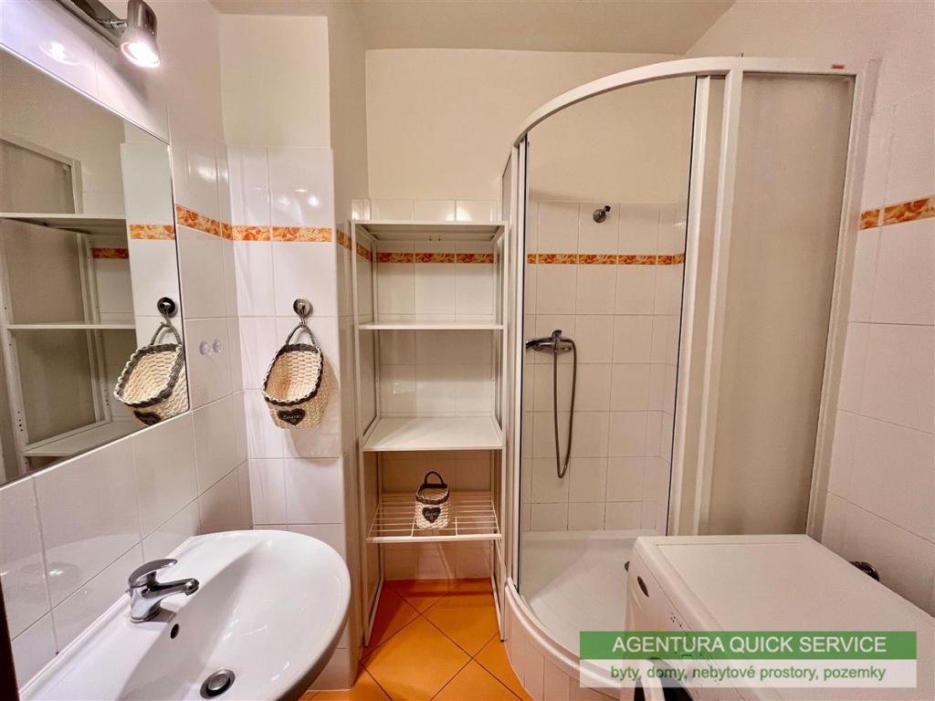 Pronájem bytu 1+kk 33 m2
