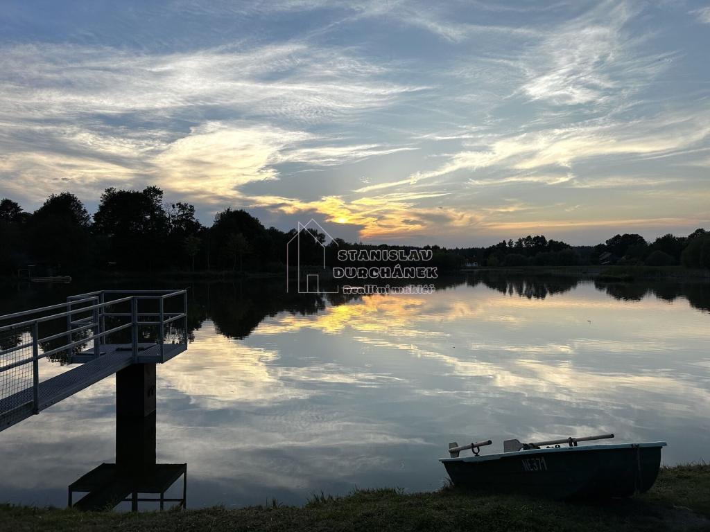 Prodej pozemku 4929 m2, Nová Ves – náhled fotky 14