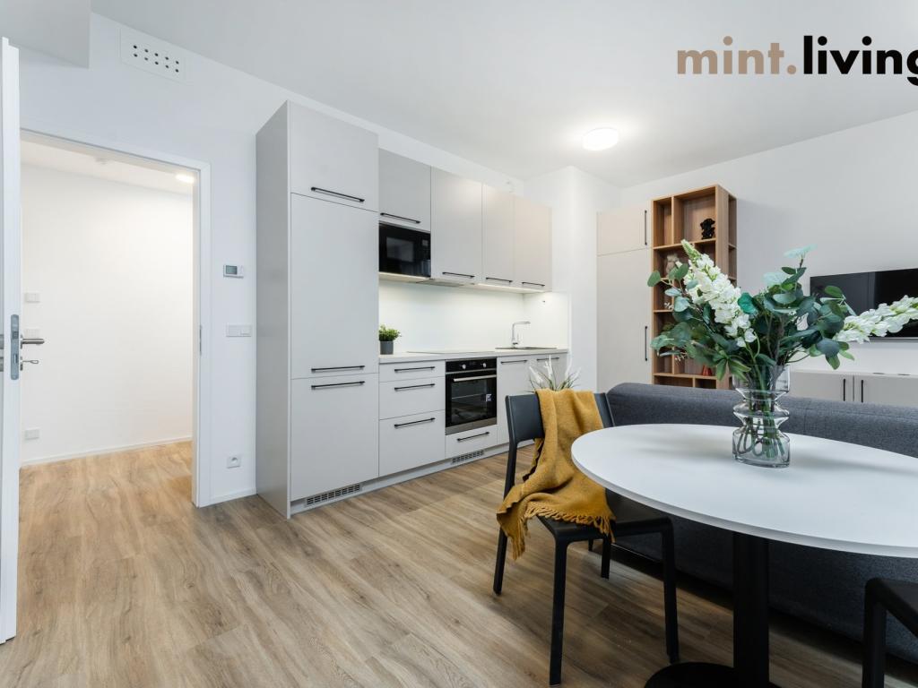 Pronájem bytu 2+kk 50 m2