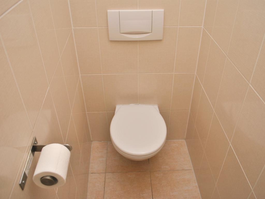 Pronajem bytu 2+1 55 m2