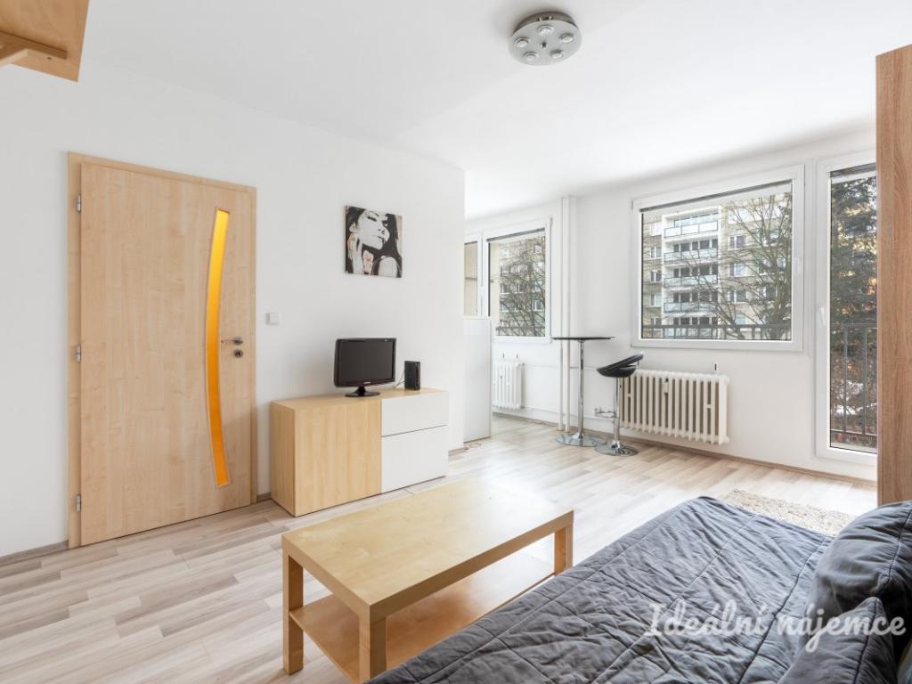 Pronájem bytu 1+kk 26 m2
