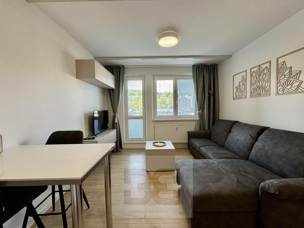 Pronájem bytu 1+kk 30 m² – další