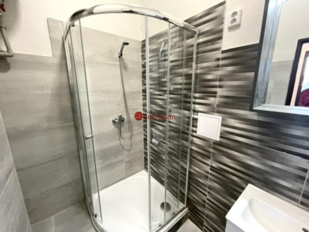 Pronájem bytu 1+1 40 m2