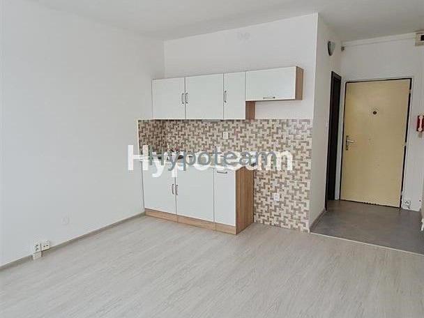 Pronájem 1+kk, Ústí nad Labem - Pod Parkem, 5900