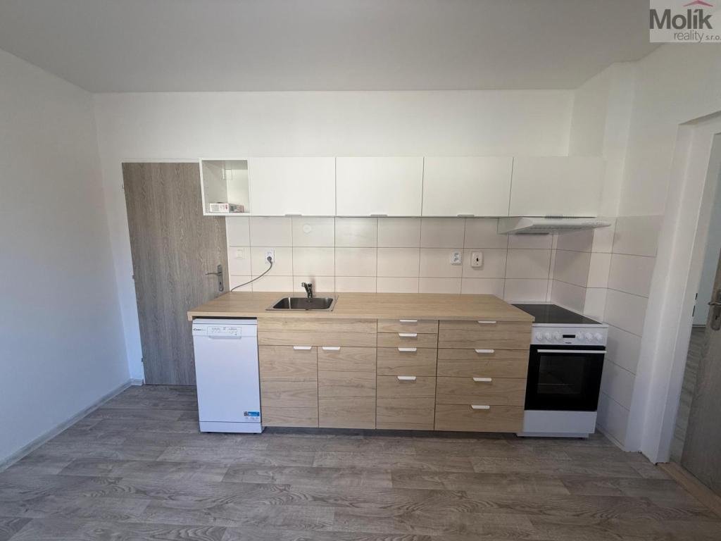 Pronájem bytu 1+1 44 m2
