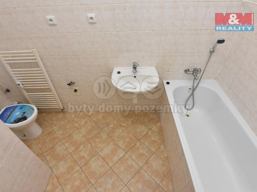 Pronajem bytu 3+kk 56 m2