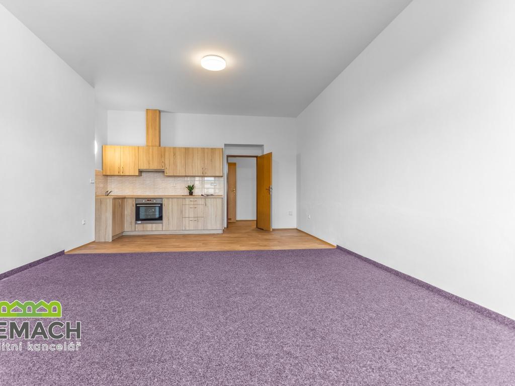 Pronájem bytu 1+kk 45 m2