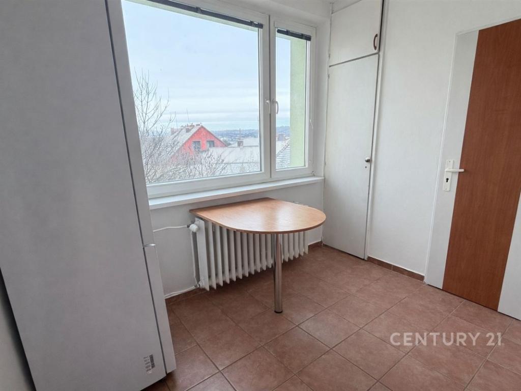 Pronájem bytu 1+1 36 m2