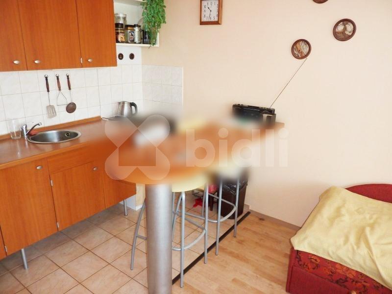 Pronajem bytu 1+kk 39 m2