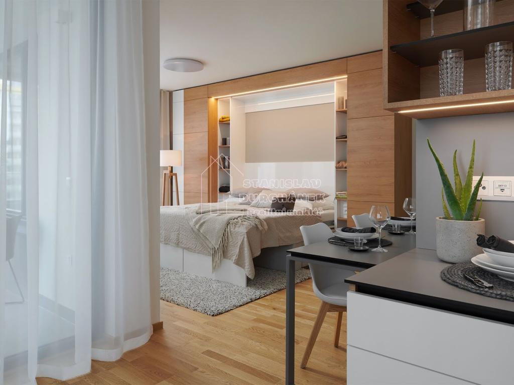 Pronájem bytu 1+kk 45 m2