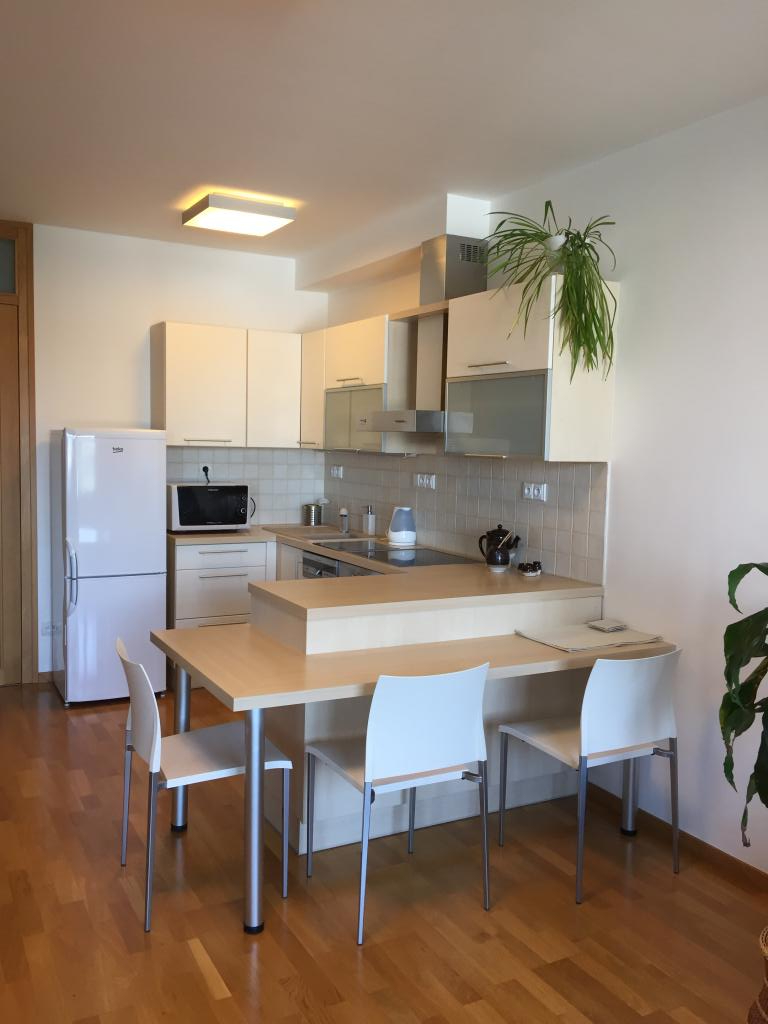 Pronajem bytu 1+kk 52 m2