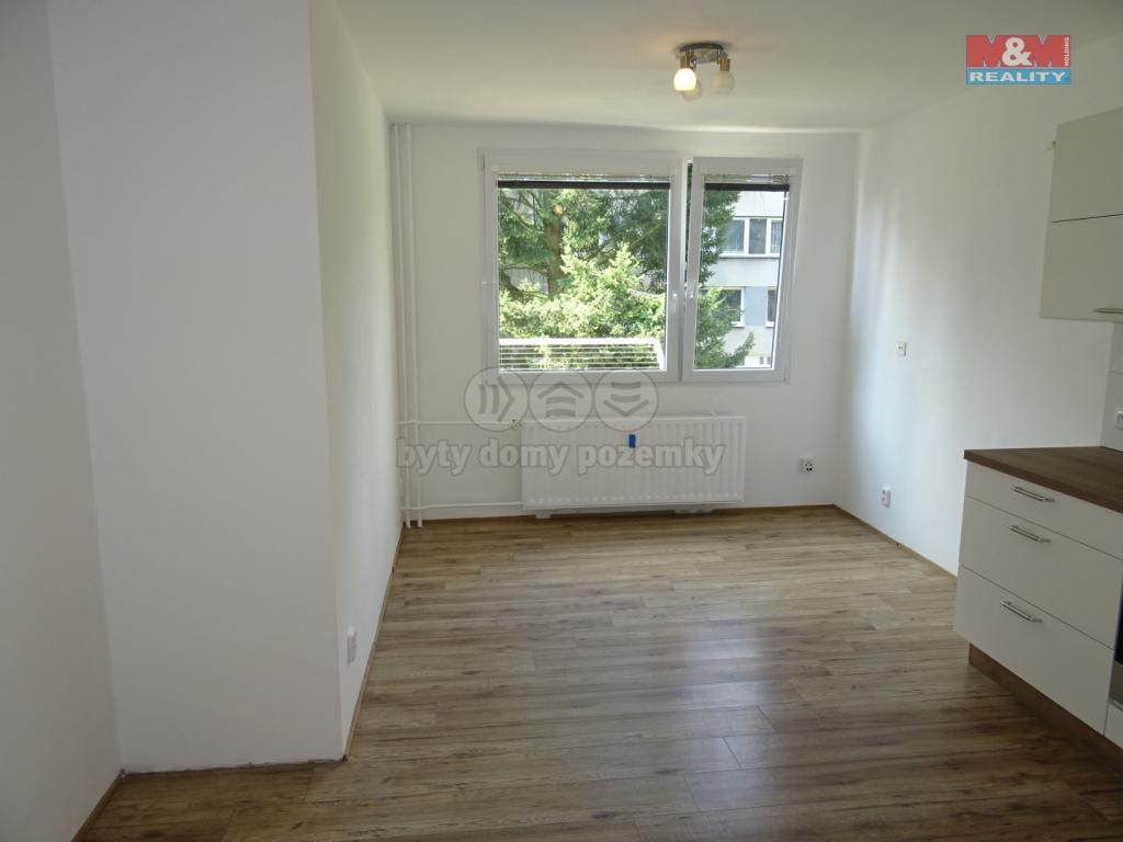 Pronajem bytu 2+kk 43 m2