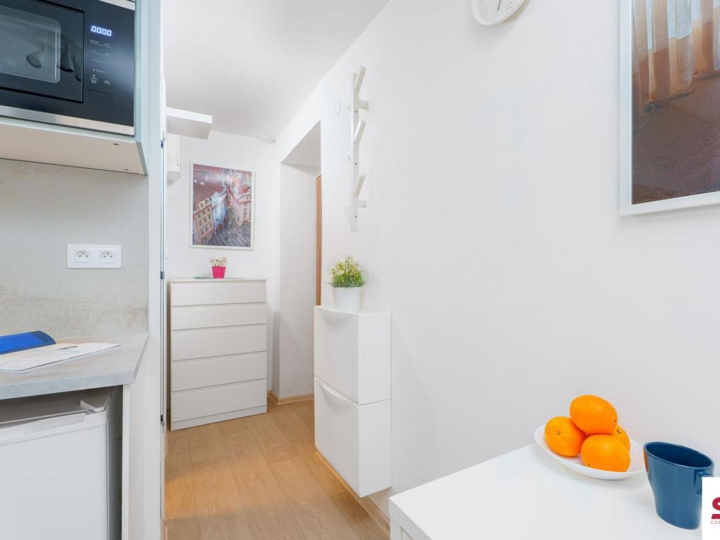 Pronájem bytu 1+kk 15 m2