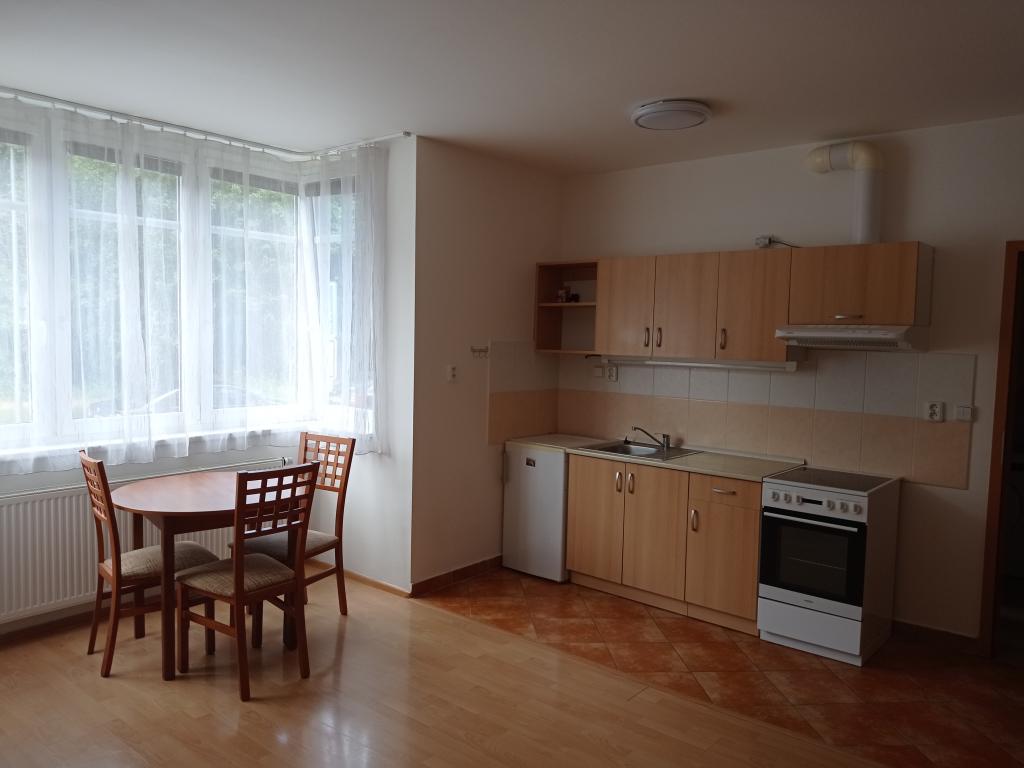 Pronájem bytu 1+kk 28 m2