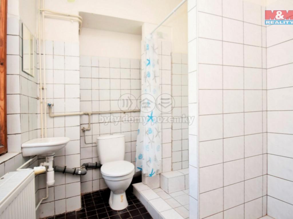 Pronajem bytu dům 505 m2