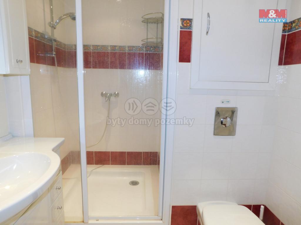 Pronajem bytu 2+kk 42 m2
