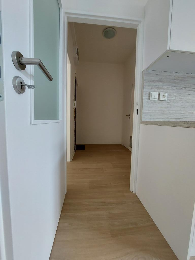 Pronájem bytu 1+1 47 m2